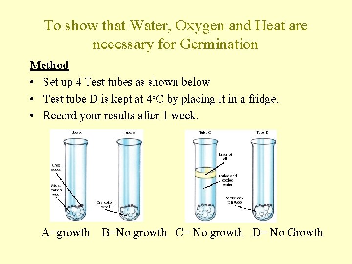 To show that Water, Oxygen and Heat are necessary for Germination Method • Set