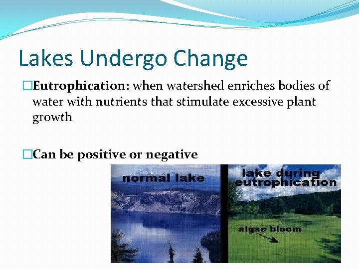 Lakes Undergo Change �Eutrophication: when watershed enriches bodies of water with nutrients that stimulate