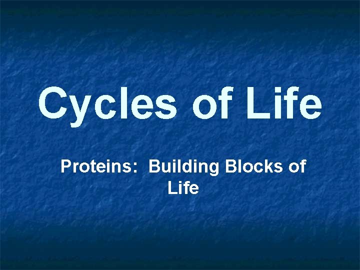 Cycles of Life Proteins: Building Blocks of Life 