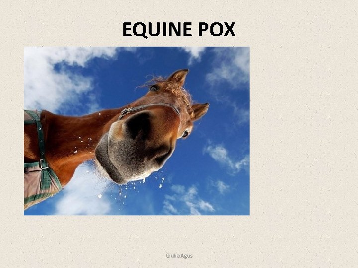 EQUINE POX Giulia Agus 