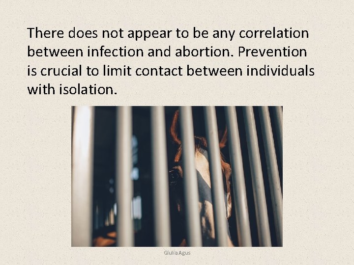 There does not appear to be any correlation between infection and abortion. Prevention is