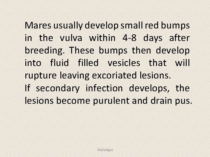 Mares usually develop small red bumps in the vulva within 4 -8 days after