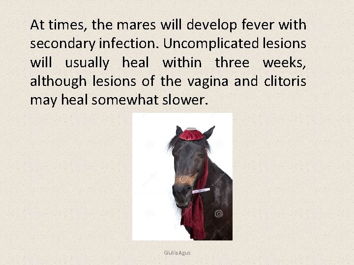 At times, the mares will develop fever with secondary infection. Uncomplicated lesions will usually