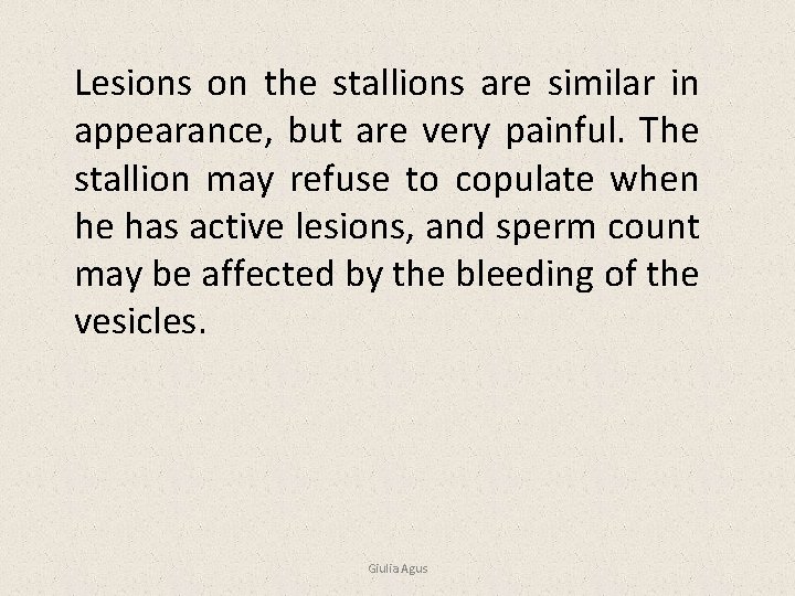 Lesions on the stallions are similar in appearance, but are very painful. The stallion