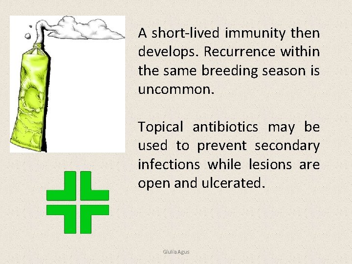 A short-lived immunity then develops. Recurrence within the same breeding season is uncommon. Topical