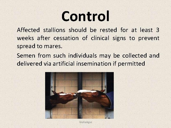 Control Affected stallions should be rested for at least 3 weeks after cessation of