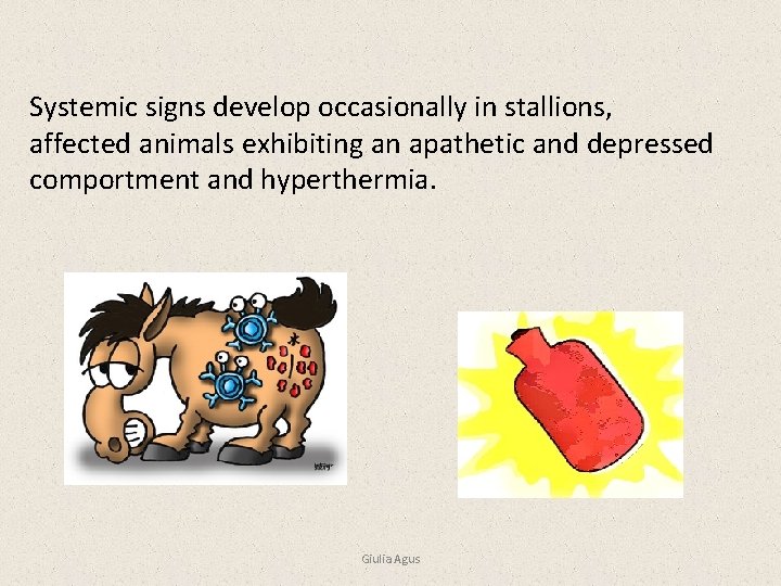 Systemic signs develop occasionally in stallions, affected animals exhibiting an apathetic and depressed comportment