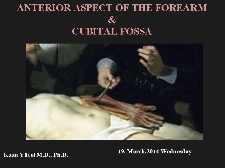 ANTERIOR ASPECT OF THE FOREARM & CUBITAL FOSSA Kaan Yücel M. D. , Ph.