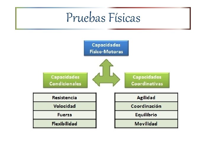 Pruebas Físicas 