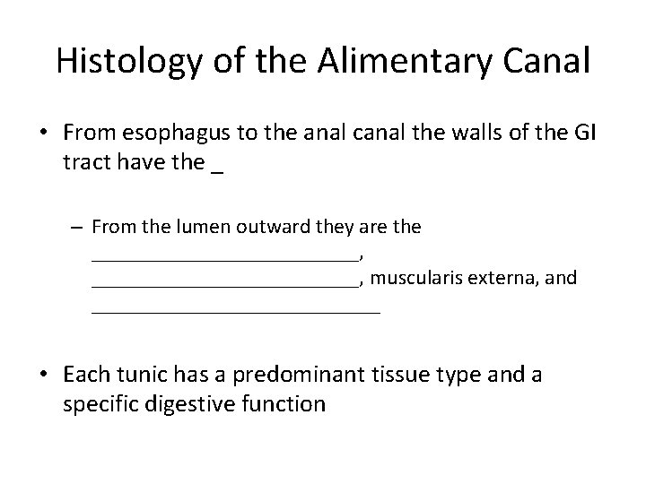 Histology of the Alimentary Canal • From esophagus to the anal canal the walls