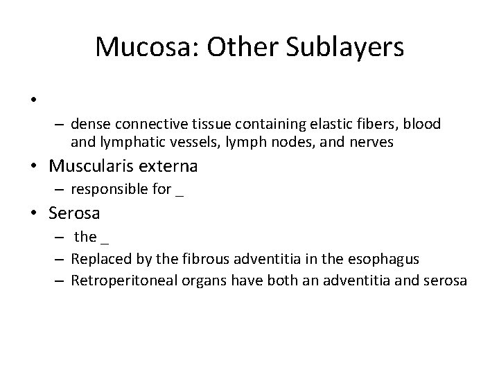 Mucosa: Other Sublayers • – dense connective tissue containing elastic fibers, blood and lymphatic