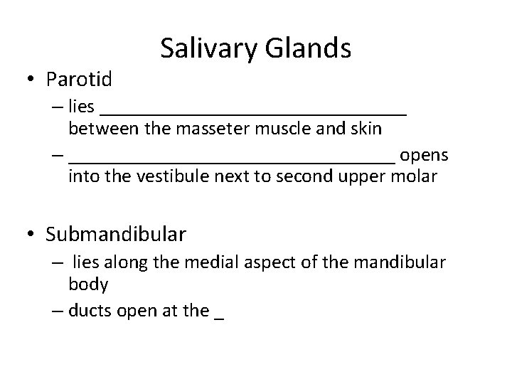  • Parotid Salivary Glands – lies ________________ between the masseter muscle and skin