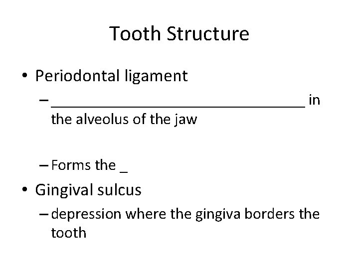 Tooth Structure • Periodontal ligament – ________________ in the alveolus of the jaw –
