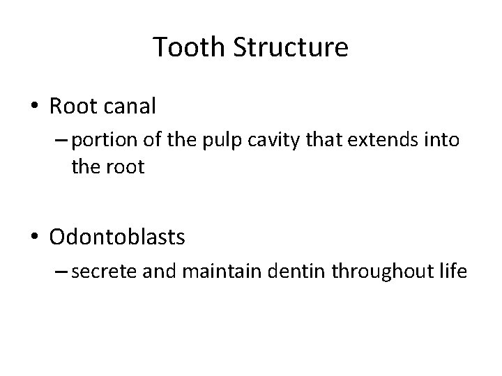 Tooth Structure • Root canal – portion of the pulp cavity that extends into