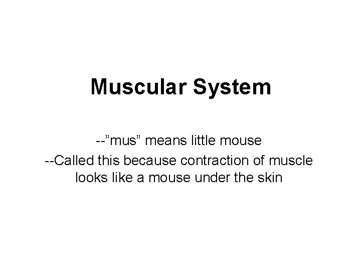 Muscular System --”mus” means little mouse --Called this because contraction of muscle looks like