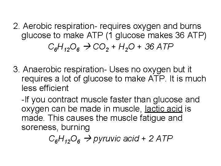 2. Aerobic respiration- requires oxygen and burns glucose to make ATP (1 glucose makes