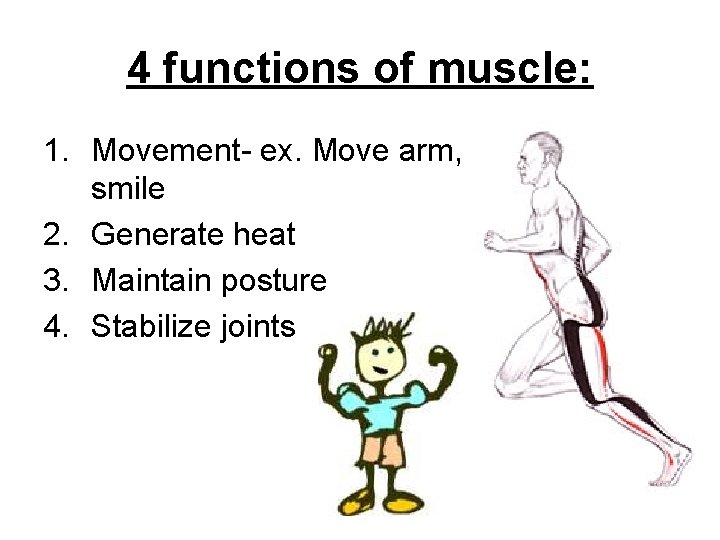 4 functions of muscle: 1. Movement- ex. Move arm, smile 2. Generate heat 3.