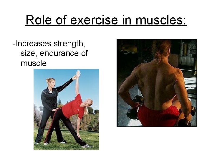 Role of exercise in muscles: -Increases strength, size, endurance of muscle 