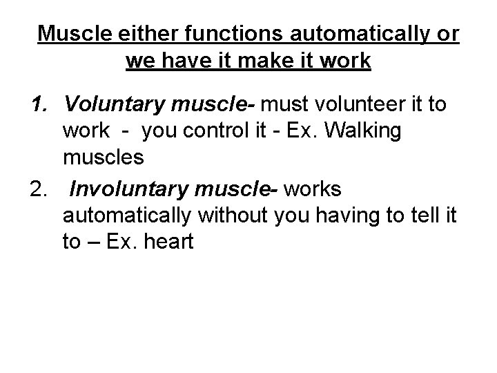 Muscle either functions automatically or we have it make it work 1. Voluntary muscle-