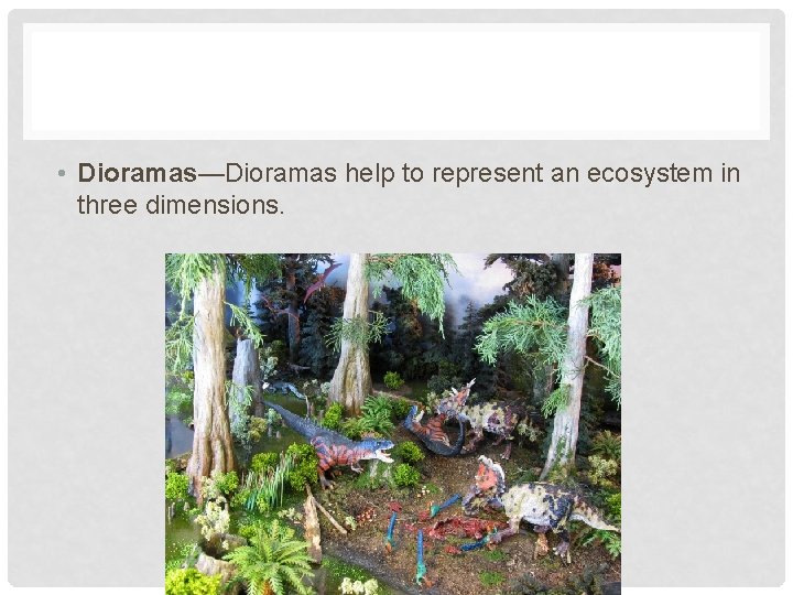  • Dioramas—Dioramas help to represent an ecosystem in three dimensions. 