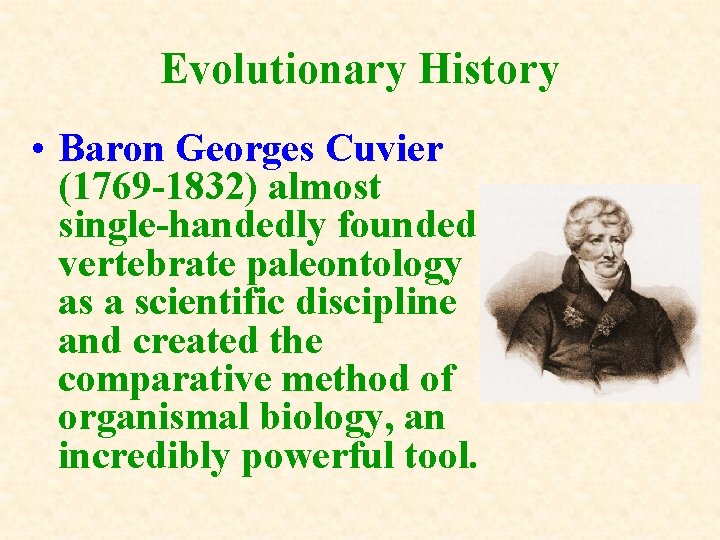 Evolutionary History • Baron Georges Cuvier (1769 -1832) almost single-handedly founded vertebrate paleontology as Evolutionary History • Baron Georges Cuvier (1769 -1832) almost single-handedly founded vertebrate paleontology as