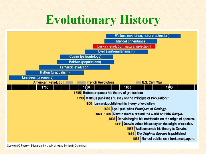 Evolutionary History Evolutionary History