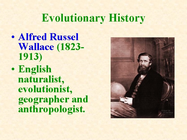 Evolutionary History • Alfred Russel Wallace (18231913) • English naturalist, evolutionist, geographer and anthropologist. Evolutionary History • Alfred Russel Wallace (18231913) • English naturalist, evolutionist, geographer and anthropologist.