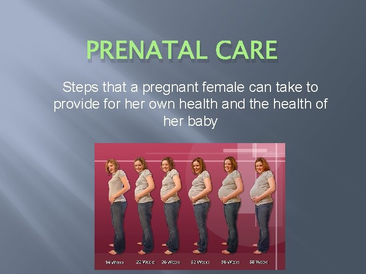 PRENATAL CARE Steps that a pregnant female can take to provide for her own