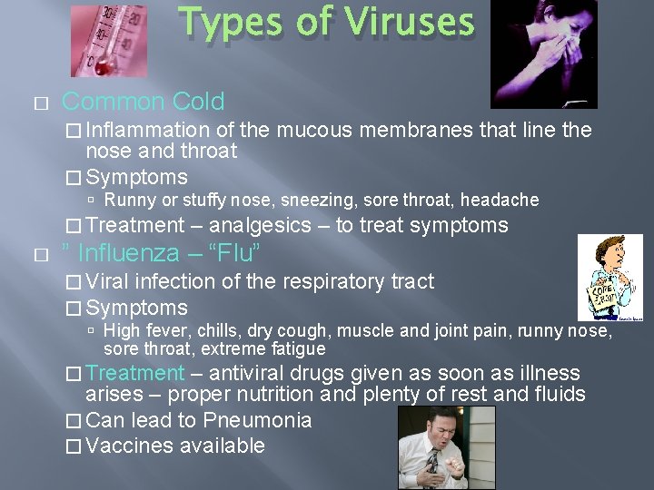 Types of Viruses � Common Cold � Inflammation of the mucous membranes that line