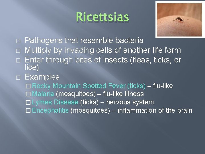 Ricettsias � � Pathogens that resemble bacteria Multiply by invading cells of another life