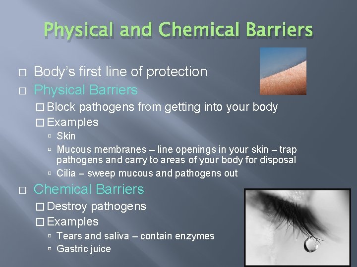 Physical and Chemical Barriers � � Body’s first line of protection Physical Barriers �