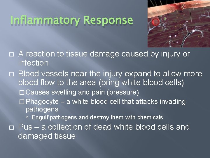 Inflammatory Response � � A reaction to tissue damage caused by injury or infection