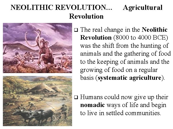 NEOLITHIC REVOLUTION… Revolution Agricultural q The real change in the Neolithic Revolution (8000 to