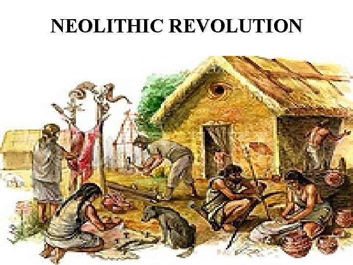 NEOLITHIC REVOLUTION 