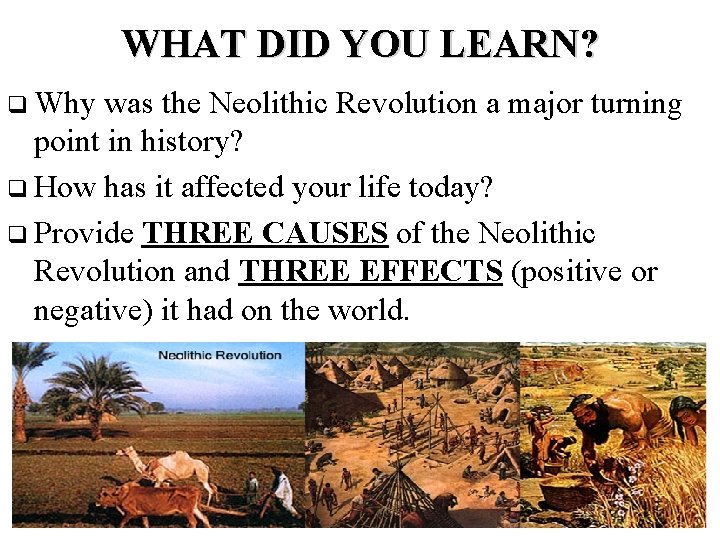 WHAT DID YOU LEARN? q Why was the Neolithic Revolution a major turning point