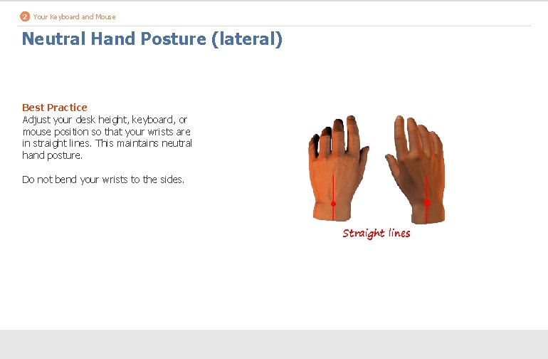 2 Your Keyboard and Mouse Neutral Hand Posture (lateral) Best Practice Adjust your desk