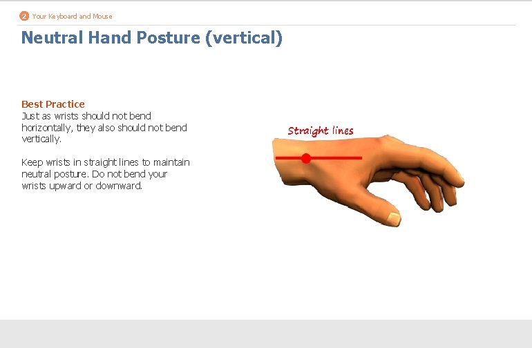 2 Your Keyboard and Mouse Neutral Hand Posture (vertical) Best Practice Just as wrists