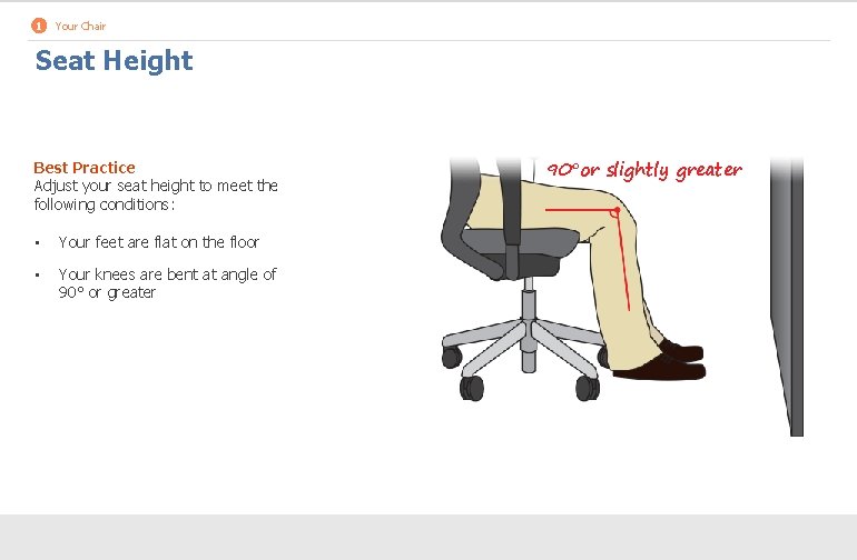 1 Your Chair Seat Height Best Practice Adjust your seat height to meet the