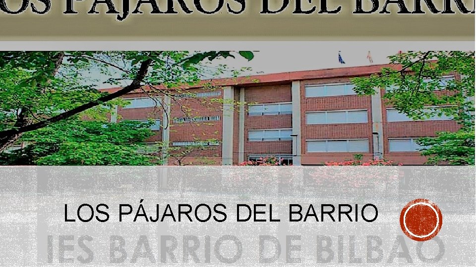 LOS PÁJAROS DEL BARRIO 