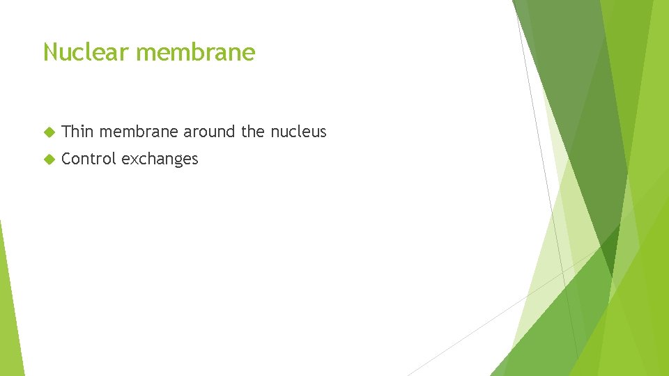 Nuclear membrane Thin membrane around the nucleus Control exchanges 