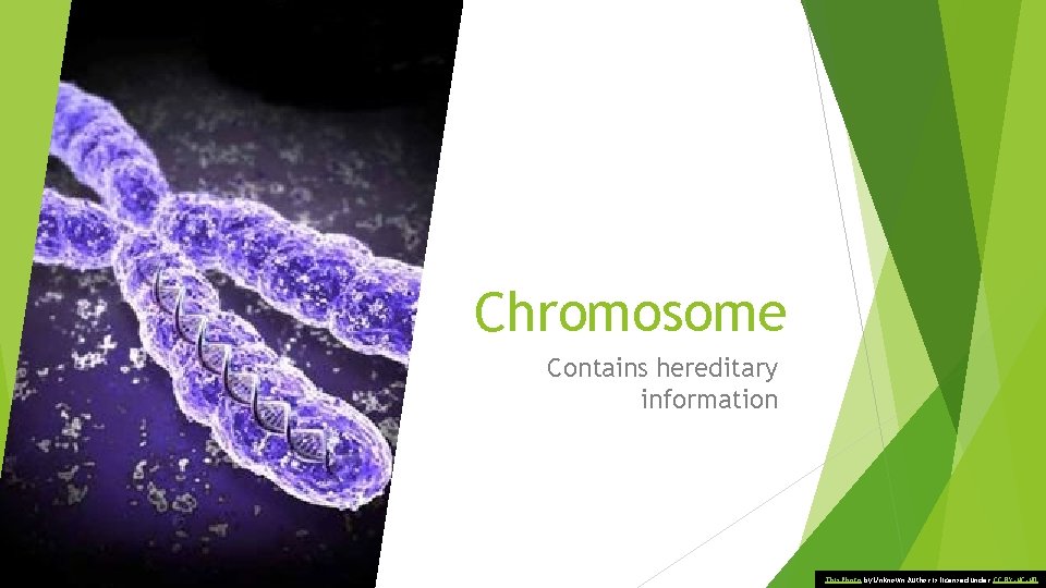 Chromosome Contains hereditary information This Photo by Unknown Author is licensed under CC BY-NC-ND
