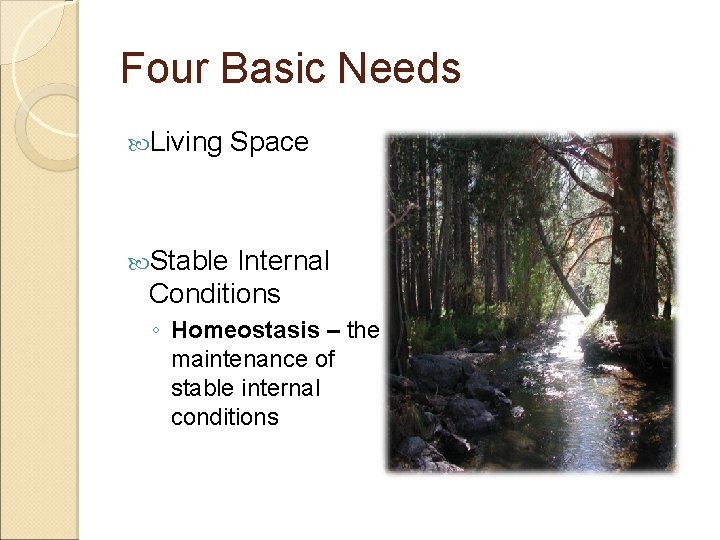 Four Basic Needs Living Space Stable Internal Conditions ◦ Homeostasis – the maintenance of