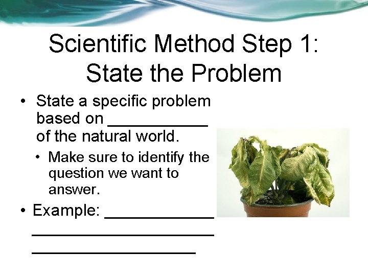 scientific method 6 basic steps 1 state Images High... The Science of Biology Chapter 1 Part 1