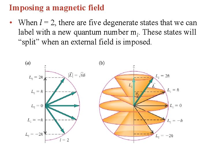Imposing a magnetic field • When l = 2, there are five degenerate states