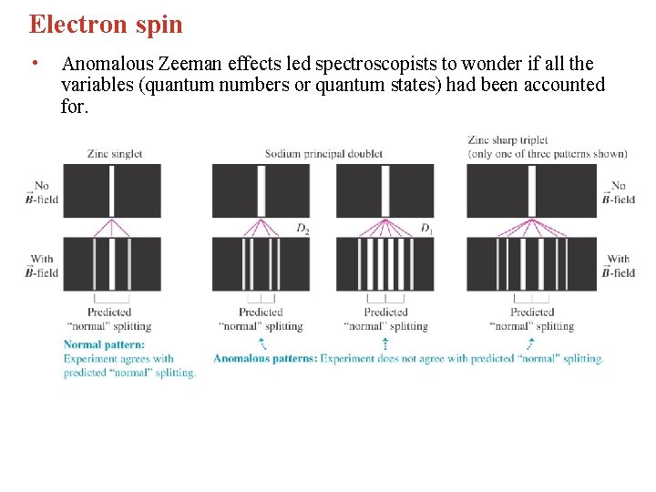 Electron spin • Anomalous Zeeman effects led spectroscopists to wonder if all the variables