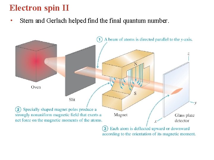 Electron spin II • Stern and Gerlach helped find the final quantum number. 