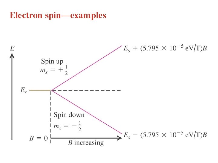 Electron spin—examples 