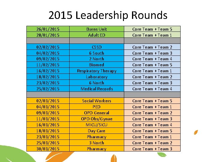 2015 Leadership Rounds 26/01/2015 28/01/2015 Burns Unit Adult ED Core Team + Team 5