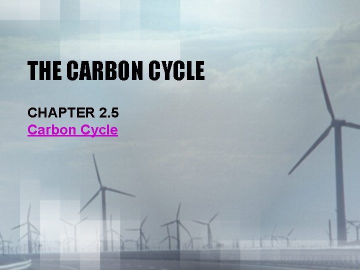 THE CARBON CYCLE CHAPTER 2. 5 Carbon Cycle 