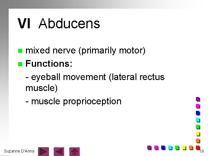 VI Abducens mixed nerve (primarily motor) n Functions: - eyeball movement (lateral rectus muscle)